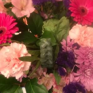 Meet your Posher, Leslie